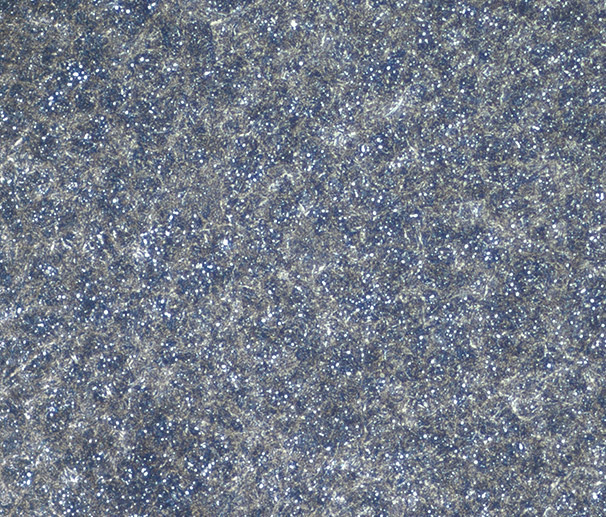 GCr15- After vacuum oil quenching